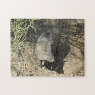 Javelina Legpuzzel