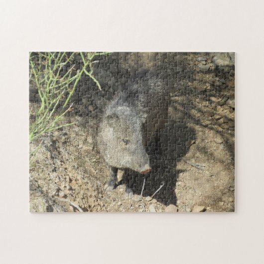 Javelina Legpuzzel (Horizontaal)