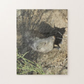 Javelina Legpuzzel (Verticaal)