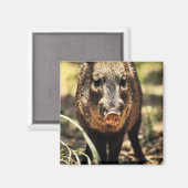 Javelina Magneet (Voorkant / Achterkant)