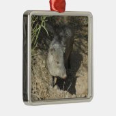 Javelina Metalen Ornament (Rechts)
