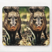 Javelina Muismat (Voorkant)