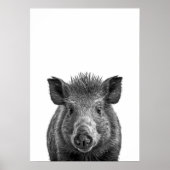Javelina Peccary varkenswoestijn Portret zwart wit Poster (Voorkant)