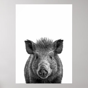 Javelina Peccary varkenswoestijn Portret zwart wit Poster