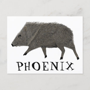 Javelina PHOENIX woestijn Wilde Natuur van de Vark Briefkaart