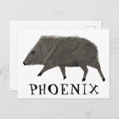 Javelina PHOENIX woestijn Wilde Natuur van de Vark Briefkaart (Voorkant / Achterkant)