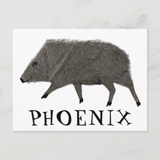 Javelina PHOENIX woestijn Wilde Natuur van de Vark Briefkaart (Voorkant)