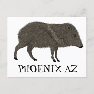 Javelina PHOENIX woestijn Wilde Natuur van de Vark Briefkaart