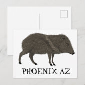 Javelina PHOENIX woestijn Wilde Natuur van de Vark Briefkaart (Voorkant / Achterkant)