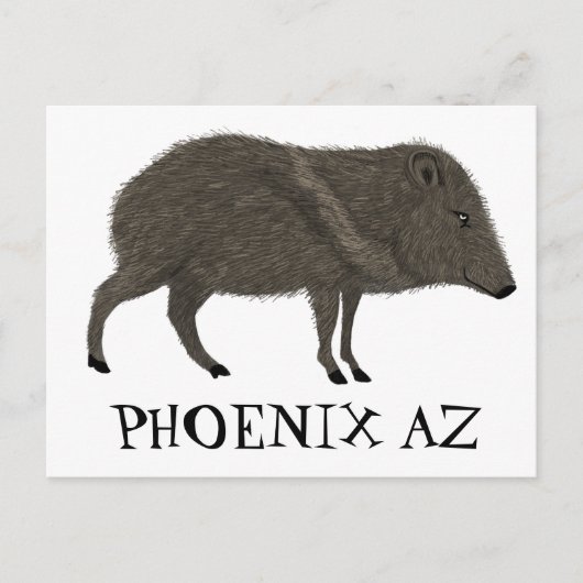 Javelina PHOENIX woestijn Wilde Natuur van de Vark Briefkaart (Voorkant)
