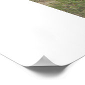 Javelina. Poster (Hoek)