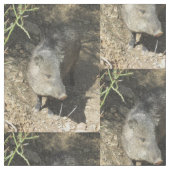 Javelina Stof (Close Up)