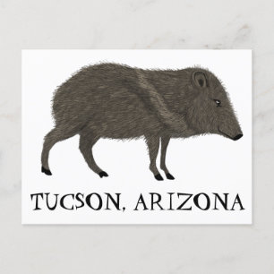 Javelina TUCSON-woestijn Natuur van wilde dieren Briefkaart