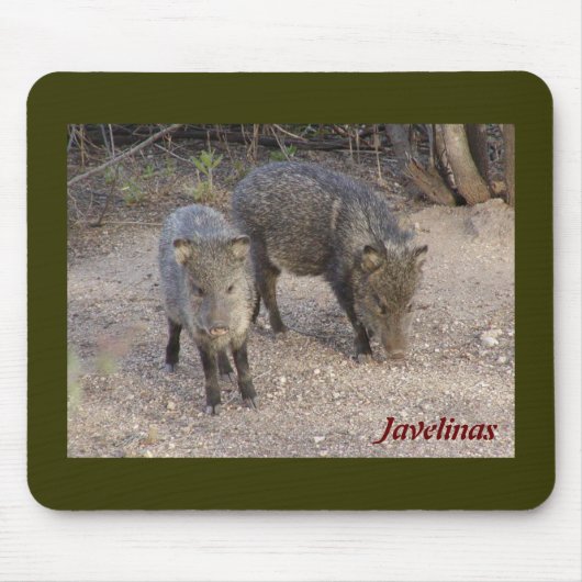 Javelinas mousepad muismat (Voorkant)