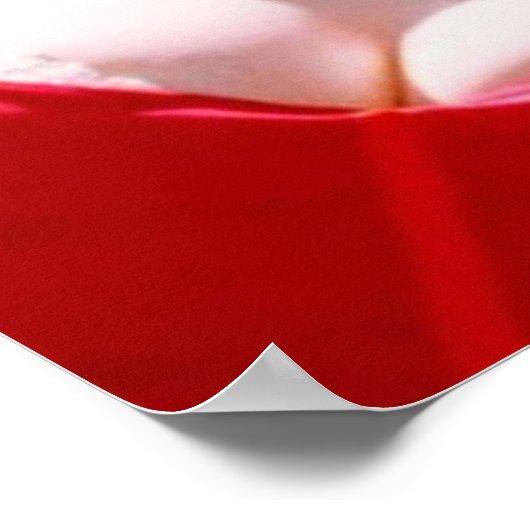 JAWBREAKER POSTER (Hoek)