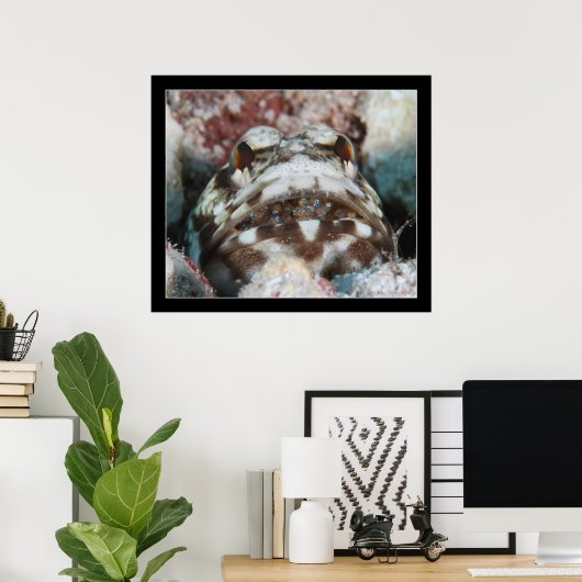 Jawfish met eieren poster (Thuiskantoor)