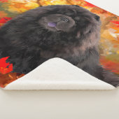 JAX Chow SHERPA deken (3/4)