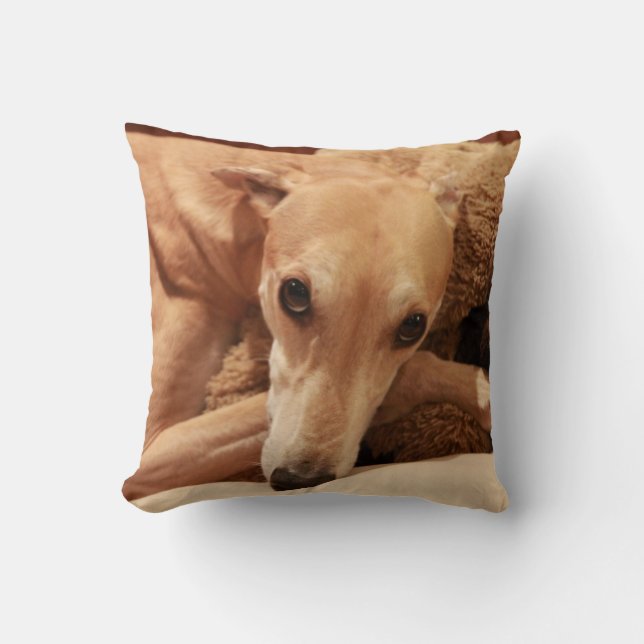 Jax op zijn kussen. kussen (Voorkant)