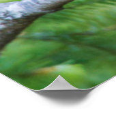 Jay 3 van verkoper poster (Hoek)