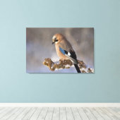 Jay Bird Canvas Afdruk (Insitu (Houten vloer))