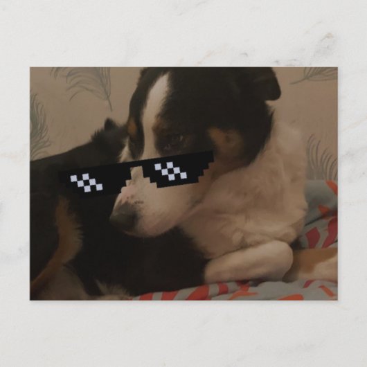 Jay Briefkaart (Voorkant)