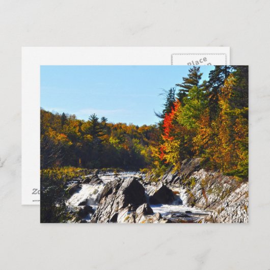 Jay Cook Briefkaart (Voorkant / Achterkant)