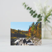 Jay Cook State Park Minnesota Briefkaart (Staand voorkant)