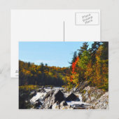 Jay Cook State Park Minnesota Briefkaart (Voorkant / Achterkant)