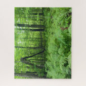 Jay Cooke State Park Ferns and Forest Legpuzzel (Verticaal)