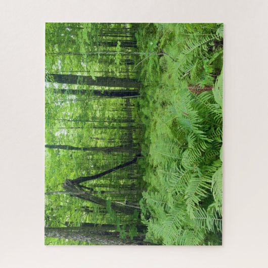 Jay Cooke State Park Ferns and Forest Legpuzzel (Verticaal)