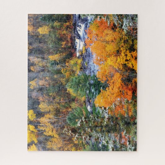 Jay Cooke State Park Minnesota Legpuzzel (Verticaal)