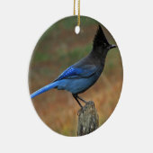 Jay van Steller (Cyanocitta stelleri) Keramisch Ornament (Rechts)