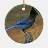 Jay van Steller (Cyanocitta stelleri) Keramisch Ornament (Voorkant)