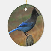 Jay van Steller (Cyanocitta stelleri) Keramisch Ornament (Links)