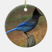 Jay van Steller (Cyanocitta stelleri) Keramisch Ornament (Achterkant)