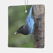 Jay van Steller (Cyanocitta stelleri) Keramisch Ornament (Links)