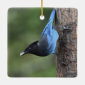 Jay van Steller (Cyanocitta stelleri) Keramisch Ornament (Achterkant)
