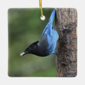 Jay van Steller (Cyanocitta stelleri) Keramisch Ornament (Voorkant)