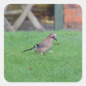 Jay Vierkante Sticker (Voorkant)