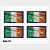 JAYNE Naam & Irish Flag Gepersonaliseerde Stickers (Vel)