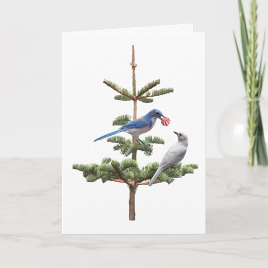 Jays kerstboomkaart kaart (Voorkant)