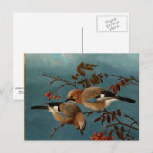 Jays - Twee vogels in een boom Briefkaart (Voorkant / Achterkant)