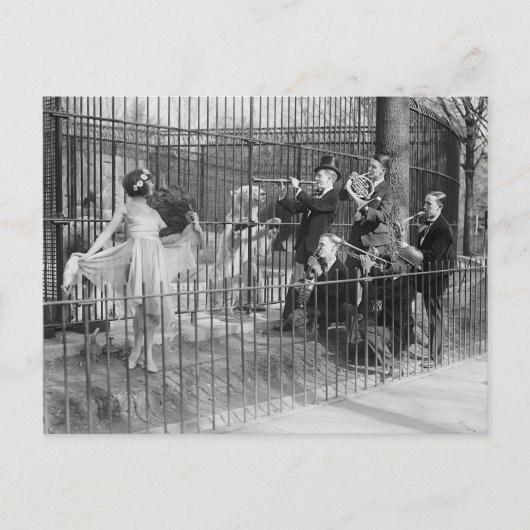 Jazz Band Entertainment Polar Beren, 1925 Briefkaart (Voorkant)