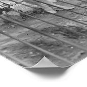 Jazz Band in de Zoo, 1925. foto Poster (Hoek)