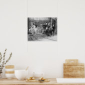 Jazzband in de dierentuin, 1925. Oude foto Poster (Keuken)