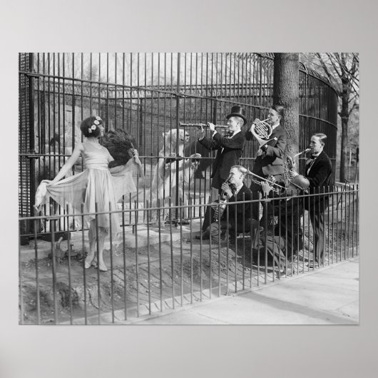 Jazzband in de dierentuin, 1925. Oude foto Poster (Voorkant)