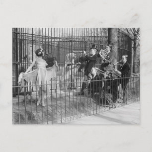 Jazzband vermaakt ijsberen, 1925 briefkaart