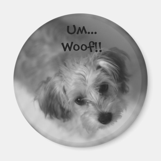 Jazzie Magnet (Voorkant)