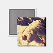 Jazzy Dog magnet (Voorkant / Achterkant)