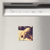 Jazzy Dog magnet (Insitu (Vaatwasser))